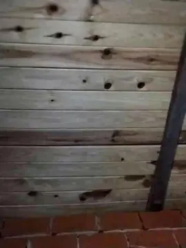 Cam4 Sex Cam of alixa3