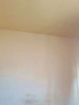 Cam4 Nude Webcam of Novinhosacana18