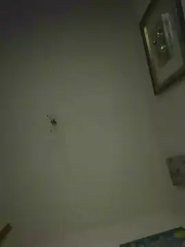 Cam4 Sex Chat of lukettosanba