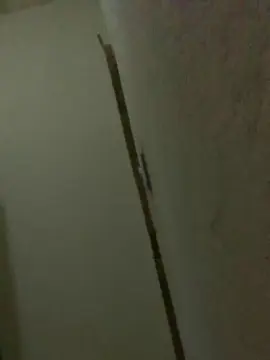 Cam4 Private Sex Chat of ruanpablo57