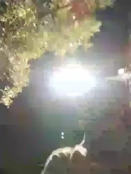 Cam4 Best Webcam of Sexylatinogay