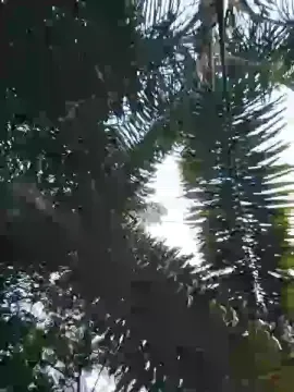 Cam4 Best live sex cam show of Sexylatinogay