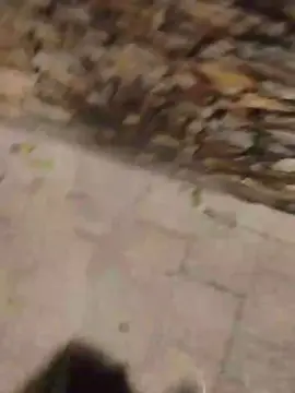 Cam4 Live Sex Cam of Sexylatinogay