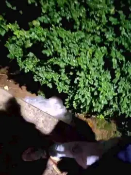 Cam4 Best Webcam of Sexylatinogay