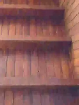 Cam4 Sex Chat of Elnegro_06