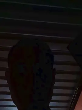 Cam4 Adult Webcam of Alfredoer