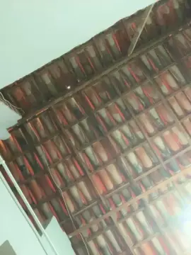 Cam4 Adult Video Chat of gabriel5458