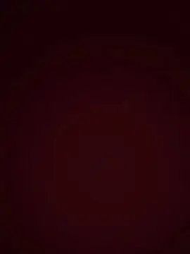 Cam4 Live Sex of Hungasiancock