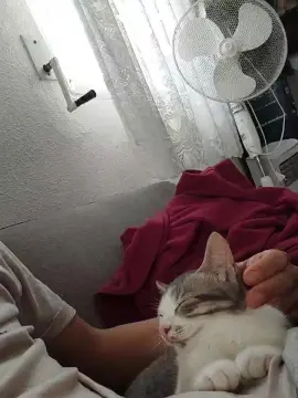 Cam4 Best live sex cam show of Tupapalarga