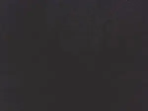 Cam4 Live Sex Cam of steevy2003