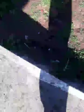 Cam4 Sex Cam of novonaarea1