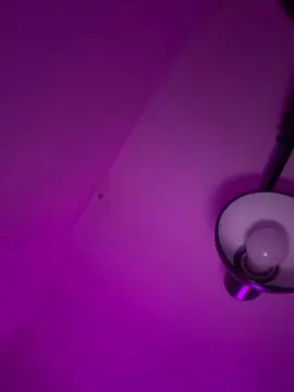 Cam4 Adult Webcam of lenonoco3