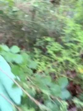 Cam4 Free Porn Cam of aussiecrys80