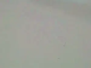 Cam4 Best live sex cam show of Pablito_junior