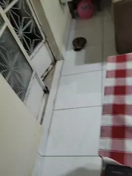 Cam4 Free Porn Cam of Chef_hot351