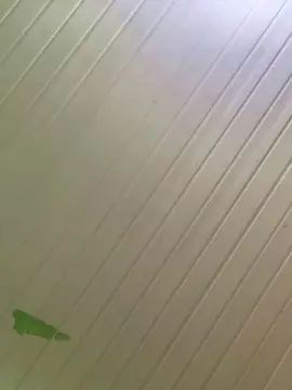 Cam4 Adult Webcams of bruninha204