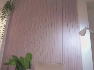 Cam4 Live Porn of Holy_hee