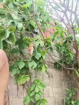 Cam4 Free Live Porn of hotboy1955
