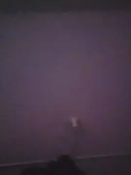 Cam4 Adult Video Chat of chicassafico2