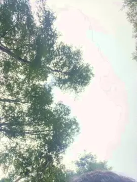 Cam4 Sex Chat of fuenzaaaaa