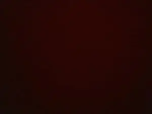 Cam4 Free Porn Cam of sweettightsara