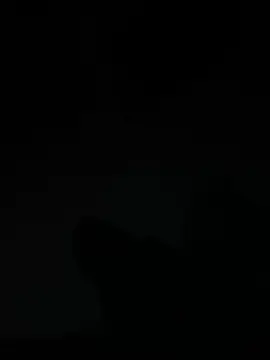 Cam4 Best live sex cam show of Nvinhosfdce