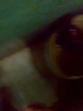 Cam4 Live Porn of Yovvng_Poringa