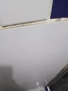 Cam4 Live Sex Cam of fbpressao