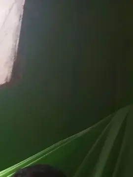 Cam4 Adult Webcams of PAuzudomf