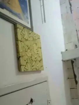 Cam4 Adult Webcams of novdotado22