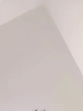 Cam4 Private Sex Chat of Novinpauz