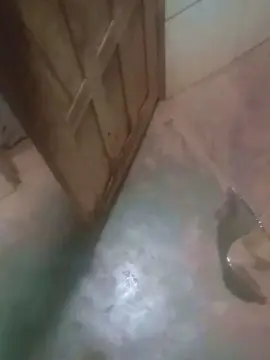 Cam4 Free Live Porn of rg45674