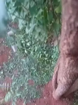 Cam4 Sex Cam of rg45674