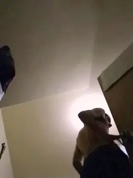 Cam4 Adult Webcams of jhon030