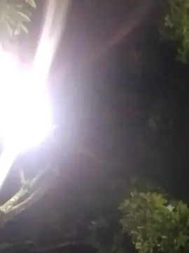 Cam4 Best Webcam of jhon030