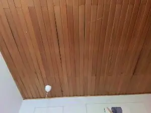 Cam4 Free Live Porn of nicole_voshkie