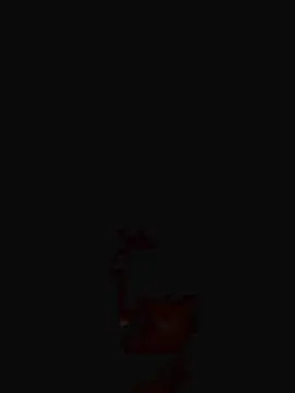 Cam4 Adult Webcam of MeliMe73