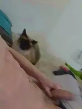 Cam4 Sex Chat of RyanTwinkhot