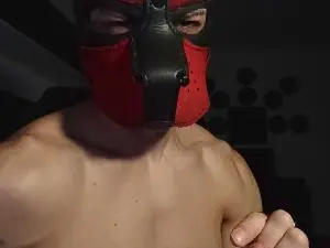 Cam4 Best Webcam of Frabroker