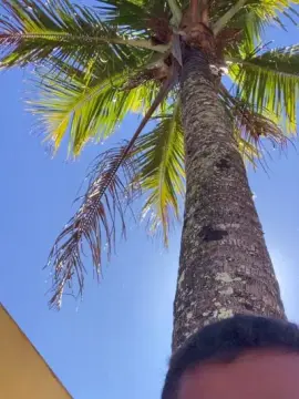 Cam4 Live Porn of ryan2028