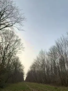 Cam4 Live Porn of Xtoto52x