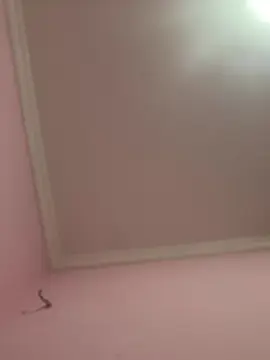 Cam4 Live Sex of novinho1978