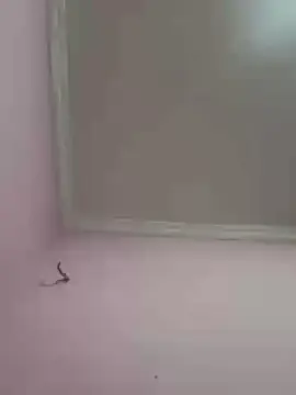 Cam4 Best Webcam of novinho1978