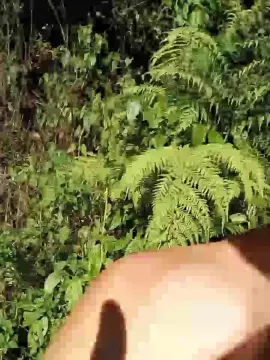 Cam4 Free Porn Cam of Dotgostoso