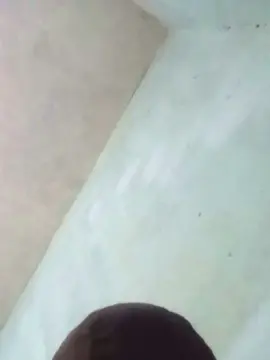 Cam4 Free Porn Cam of Apollothehorus