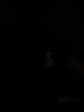 Cam4 Free Porn Cam of soarezx