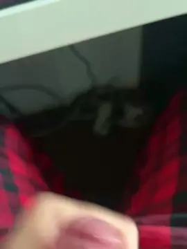 Cam4 Live Porn of amansacorno4