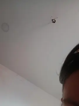 Cam4 Free Live Porn of isadelhot