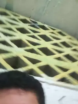 Cam4 Free Porn Cam of Rashoasesino