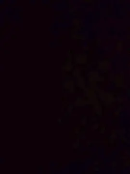 Cam4 Adult Webcam of Gustabo67